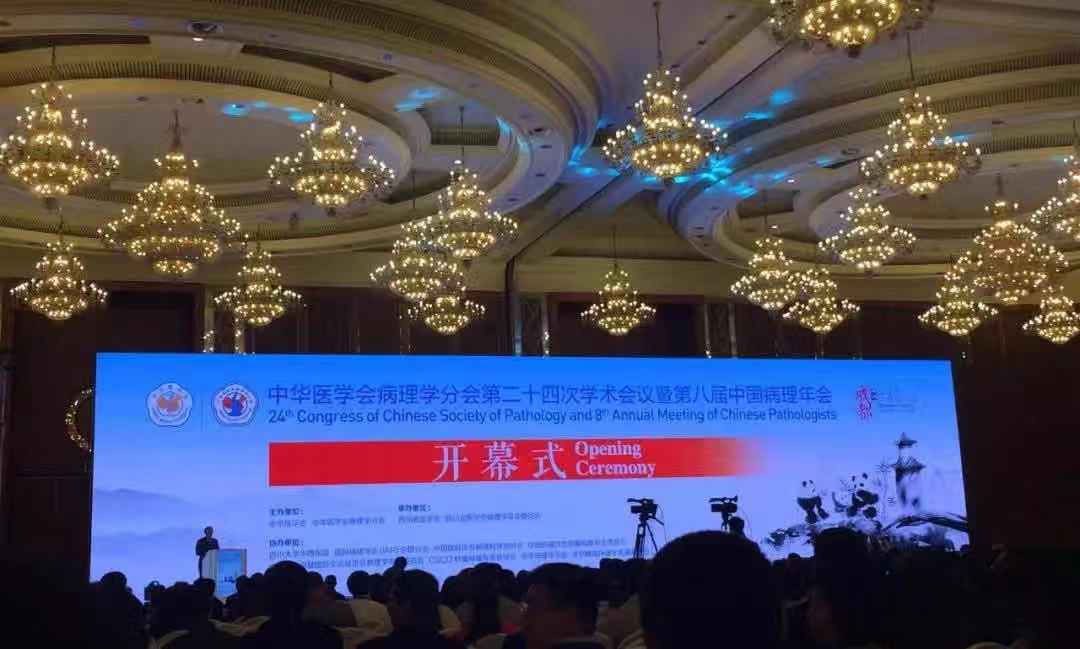 参展第八届中国病理年会